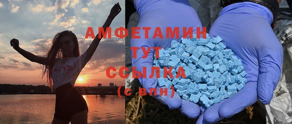 трава Бородино