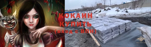 трава Бородино